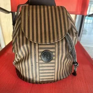 Fendi | Bags | Fendi Pekin Vintage Small Striped Brown And  display picture 1